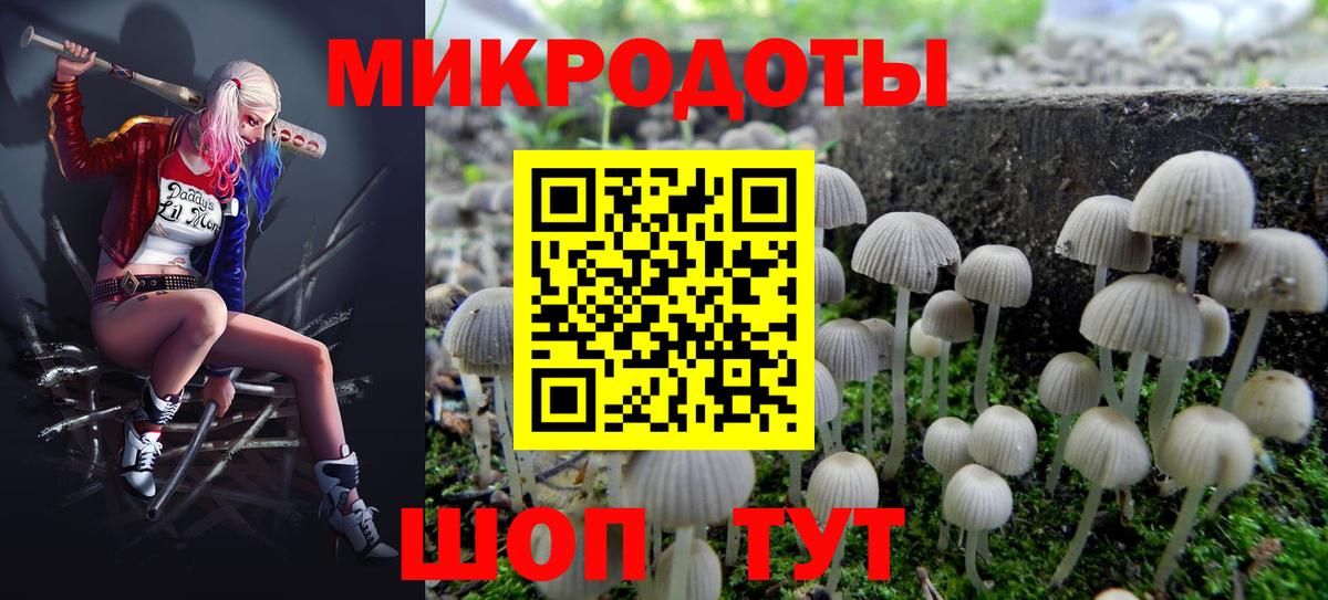 Псилоцибиновые грибы Psilocybe  Вход с VPN  Южноуральск 